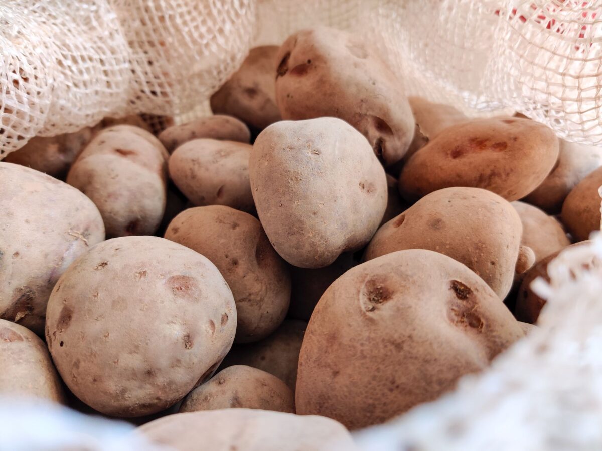 pomme terre musculation index glycémique ne