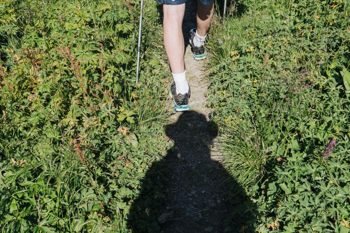 bâtons trail pliables choisir